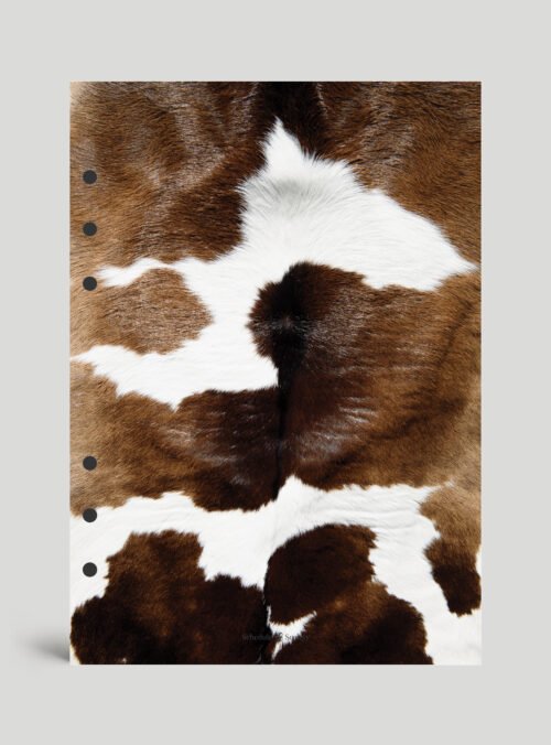 Animal Print 2 Divider