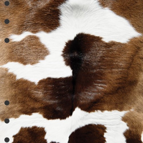 Animal Print 2 Divider