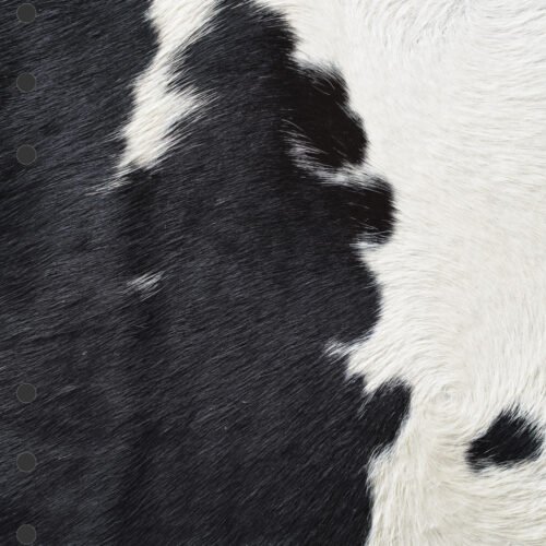 Animal Print 1 Divider