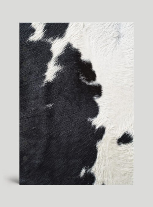 Animal Print 1 Divider