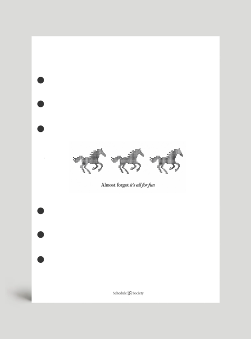 Wild & Fun Divider
