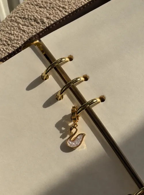 The Swan Charm