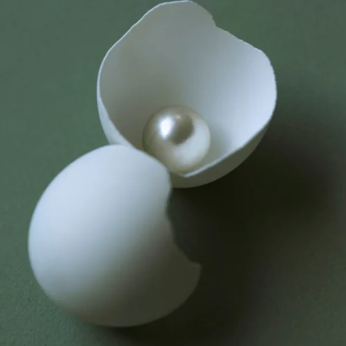 Wilde-House-Paper-Gratitude-1x1